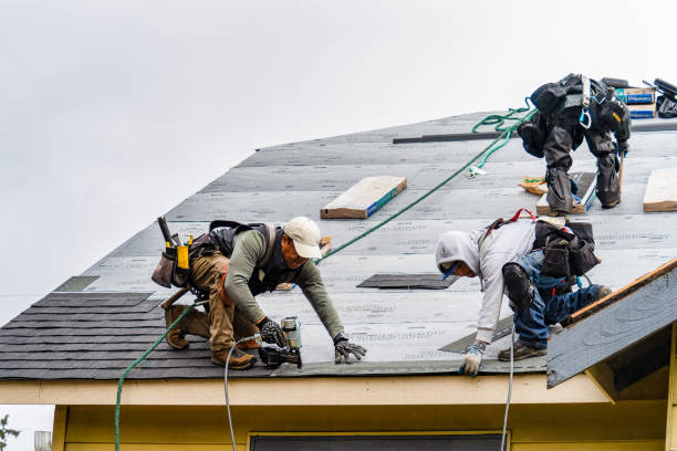 Professional Storm Damage Roof Repair technician working in Lynwood, IL